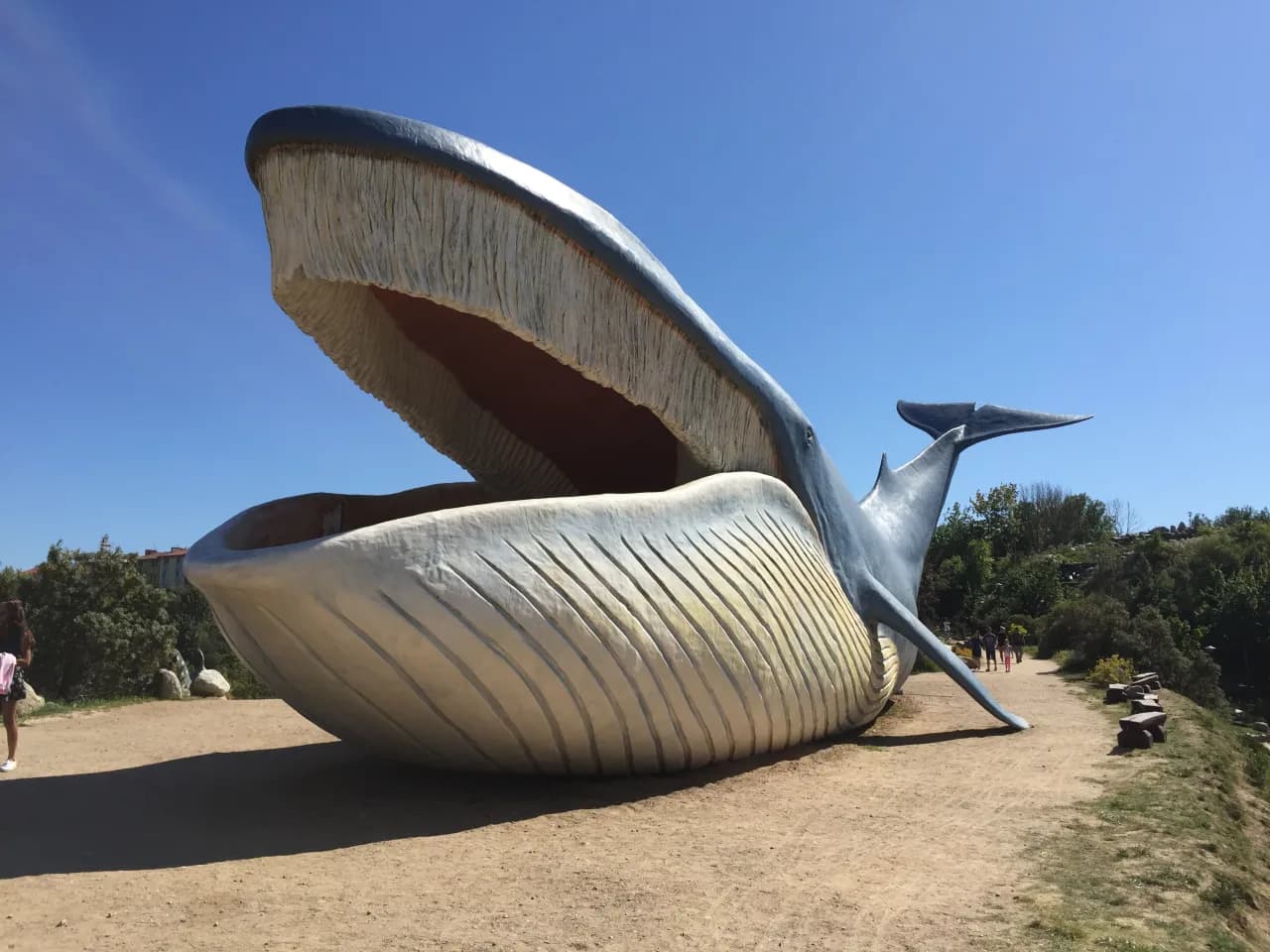 Co warto zobaczyć w Jastarni i jakie atrakcje są warte odwiedzenia