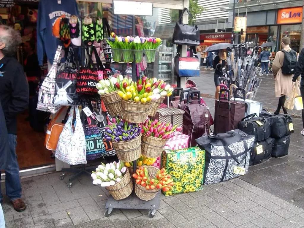Co warto przywieźć z Holandii: 15 najlepszych pomysłów na pamiątki