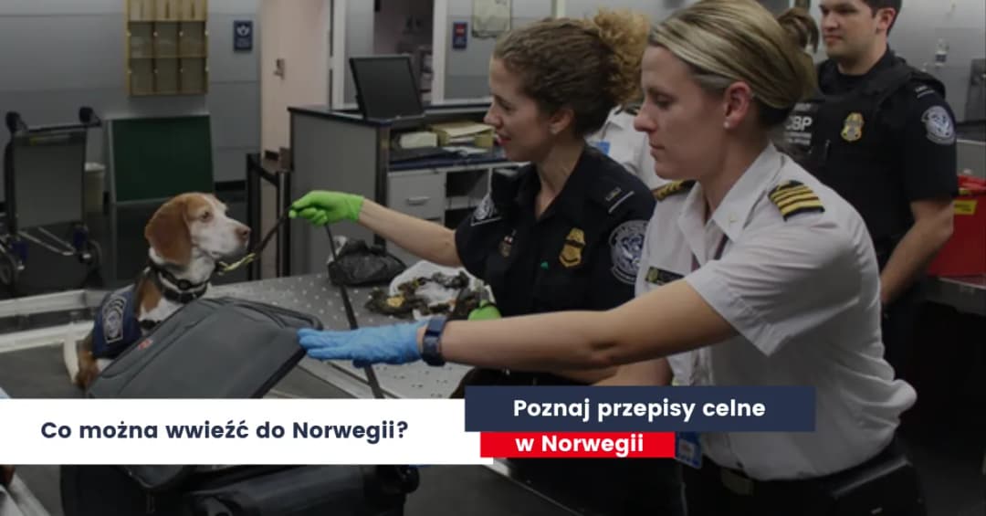 Co można przewieźć w bagażu podręcznym do Norwegii? Ważne zasady