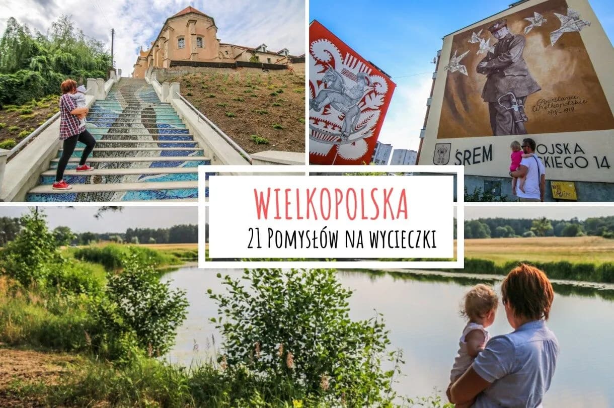 Wielkopolska w pigułce: Forum i przewodnik po najciekawszych miejscach regionu