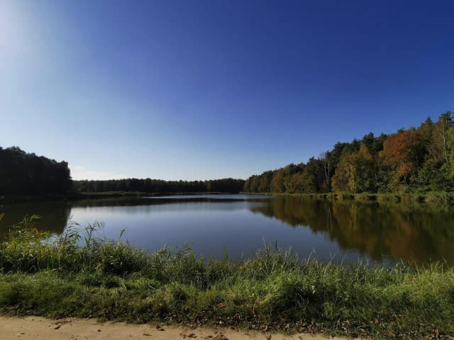 Najlepsze atrakcje w Tarczynie, które musisz zobaczyć i przeżyć