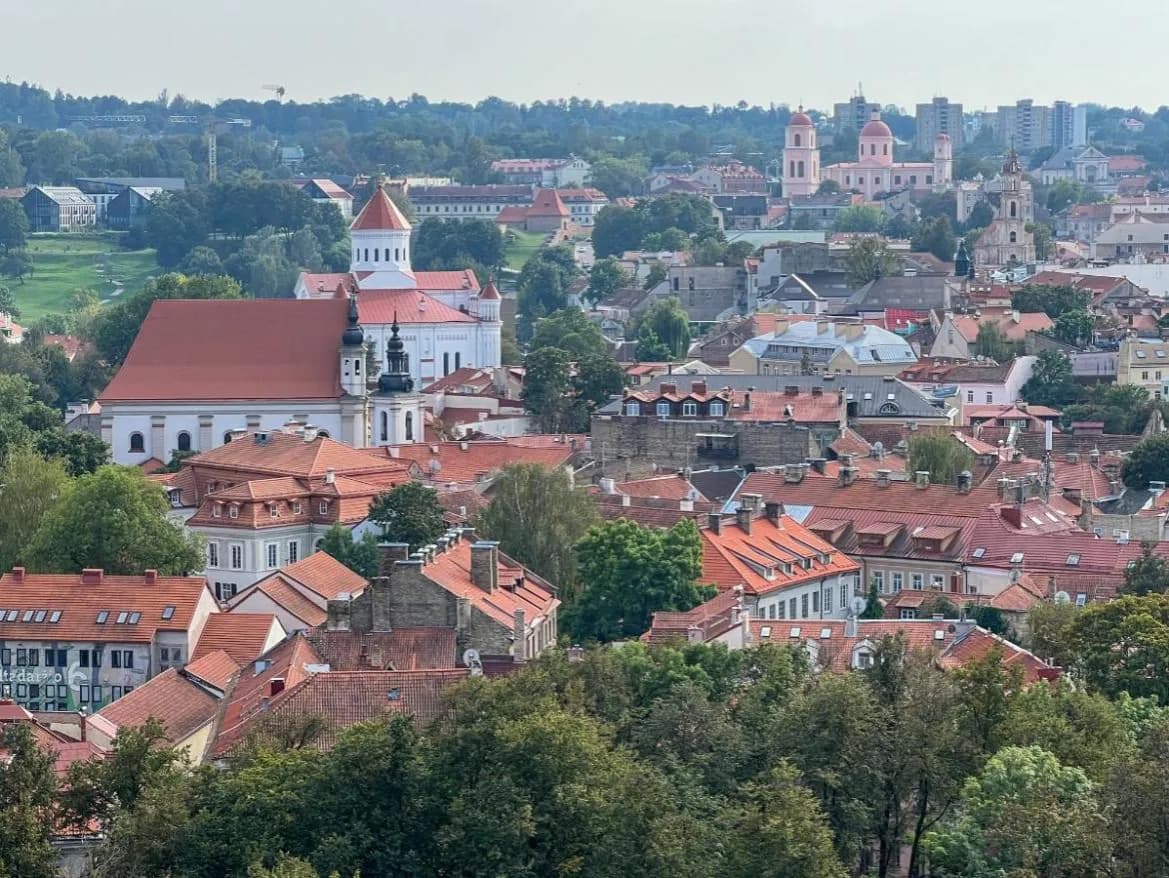 Najlepsze pamiątki i smakołyki, które warto przywieźć z Wilna - Poradnik 2024