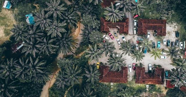 Madera z polską ofertą noclegową: Gdzie się zatrzymać podczas pobytu na wyspie