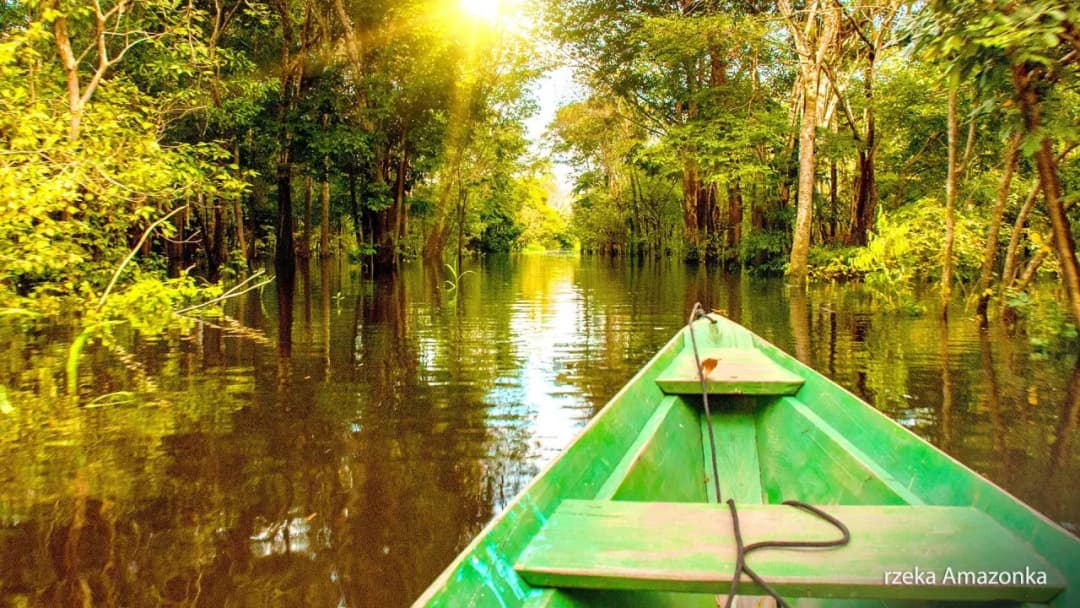 Ukryte Szlaki Amazonii: Kompletny Przewodnik Podróżnika