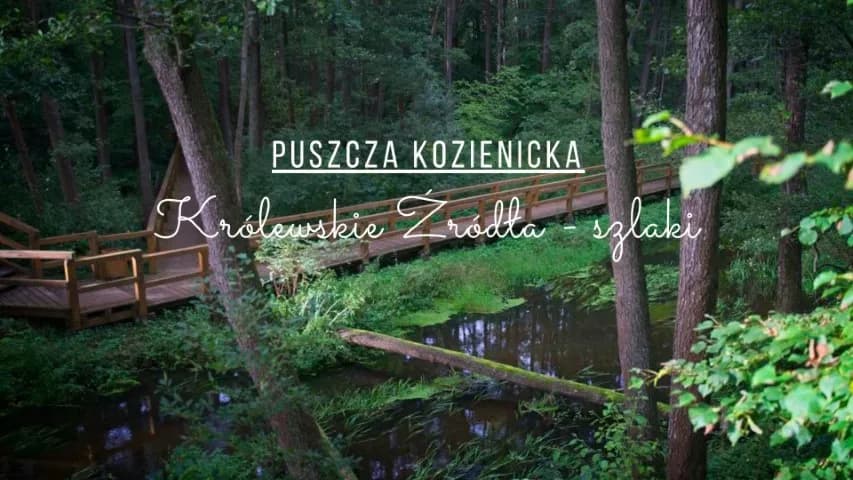 Odkryj atrakcje w okolicach Warszawy: Co warto zobaczyć w pobliżu stolicy
