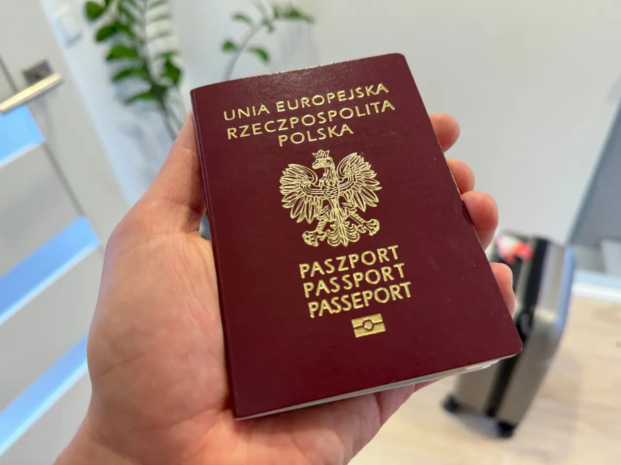 Czy do USA potrzebny jest paszport? Sprawdź ważne wymagania podróżne
