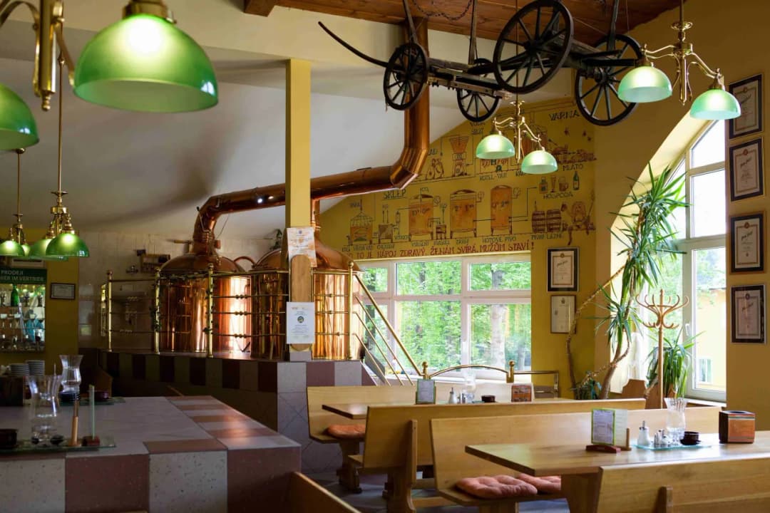 Harrachov gdzie zjeść: najlepsze restauracje i lokalne smaki