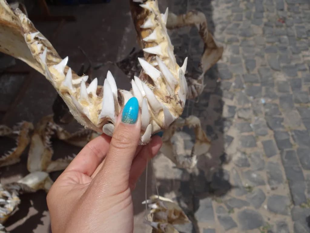 Najlepsze pamiątki z Wysp Zielonego Przylądka, które zachwycą każdego turystę