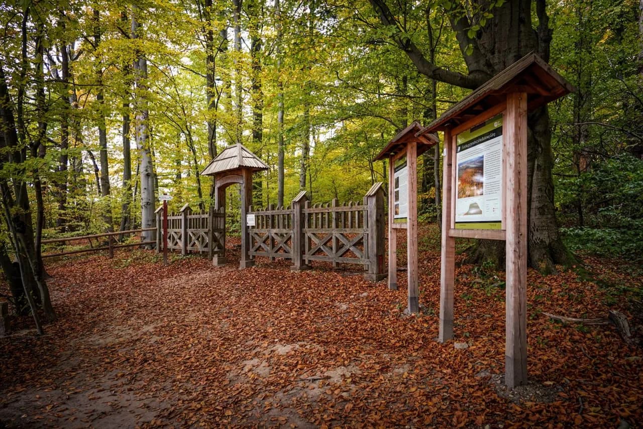 Zwierzyniec atrakcje turystyczne – nie przegap tych wyjątkowych miejsc