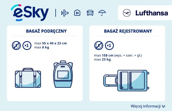 Lufthansa bagaż rejestrowany - co możesz zabrać i czego unikać